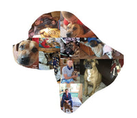 Dog Photo Fridge Magnets - Custom Shape (PACK OF 2)