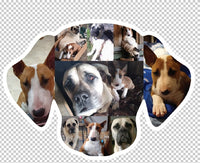 Dog Photo Fridge Magnets - Custom Shape (PACK OF 2)