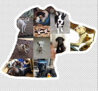 Dog Photo Fridge Magnets - Custom Shape (PACK OF 2)