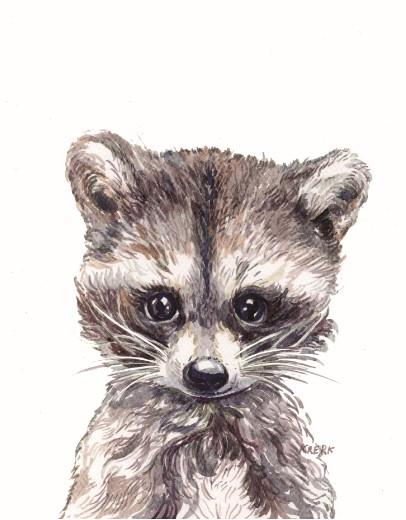 Unisex: Set of 1 - Watercolor Racoon Canvas & More 