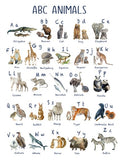 Unisex :  Set of 1 - Watercolor ABC Animals