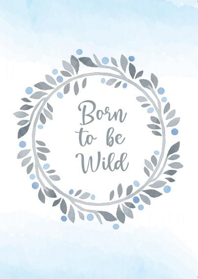 Boys: Set of 3 - Born to be wild grey animals Canvas & More 