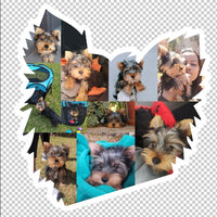 Dog Photo Fridge Magnets - Custom Shape (PACK OF 2)