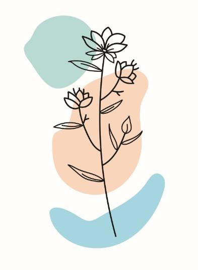 Botanical Boho Set (1) Canvas & More 