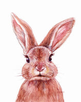 Unisex: Set of 1 - Watercolor Rabbit Canvas & More 