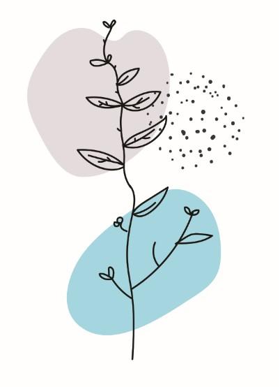 Botanical Boho Set (2) Canvas & More 