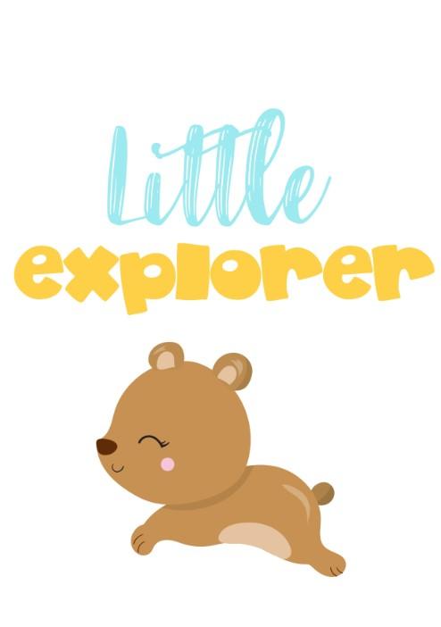 Unisex: Set of 3 - Stay curious little Bear (available in 3 colors) Canvas & More 