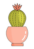 Modern Cactus