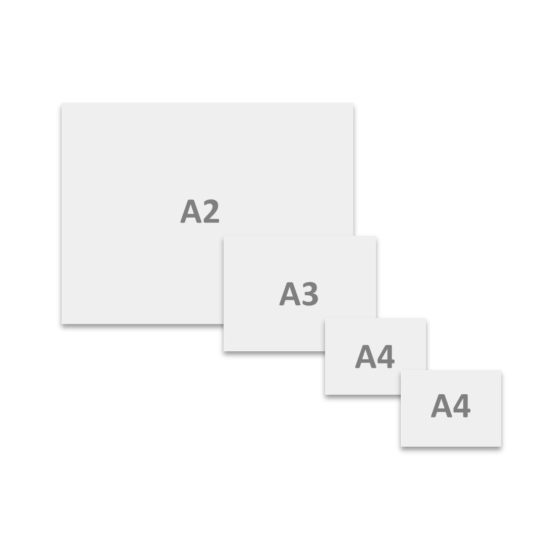 Starter Pack - Blank Artist Stretched Box Canvas