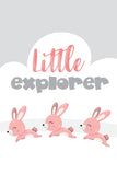 Girls: Set of 3 - Pink Bunny Little explorer Canvas & More 