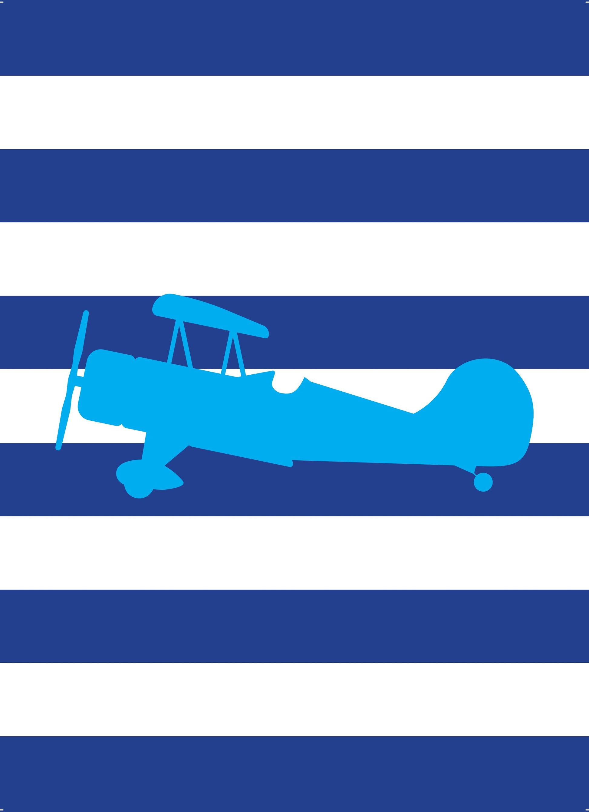 Boys: Set of 3 - Bi plane Canvas & More 