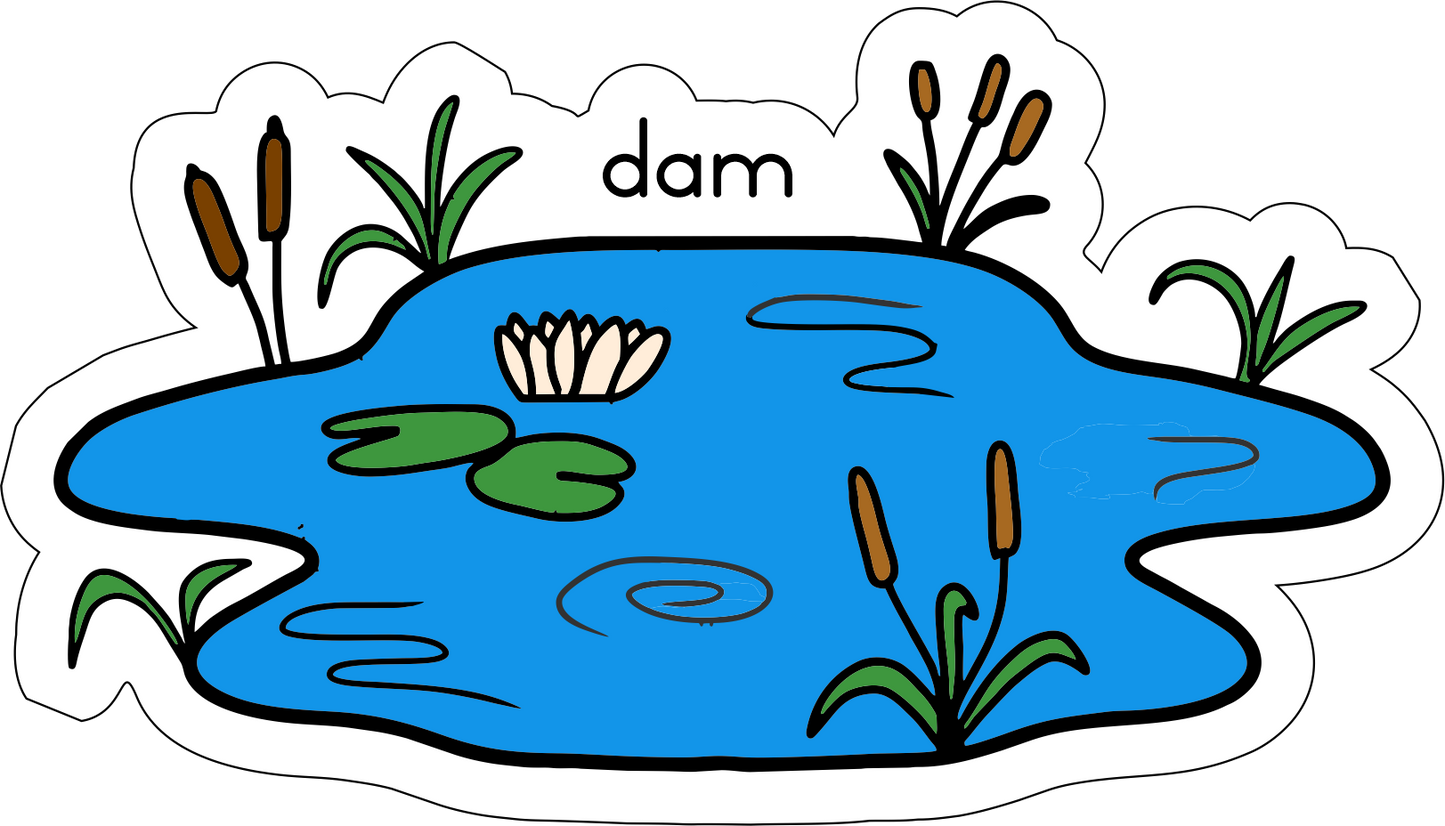 Lewensiklus van die padda Fridge Magnets - (12 PER PACK)