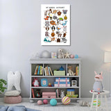 Unisex: Set of 1 - Alphabet Animals Canvas & More 