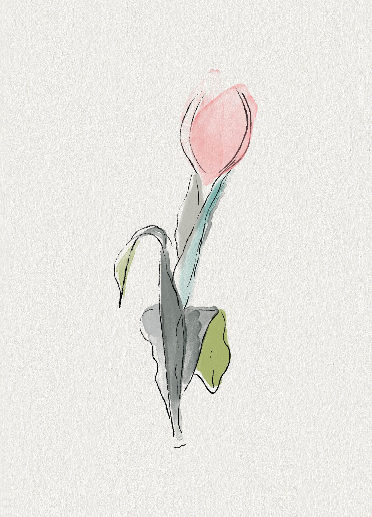 Watercolour Tulip